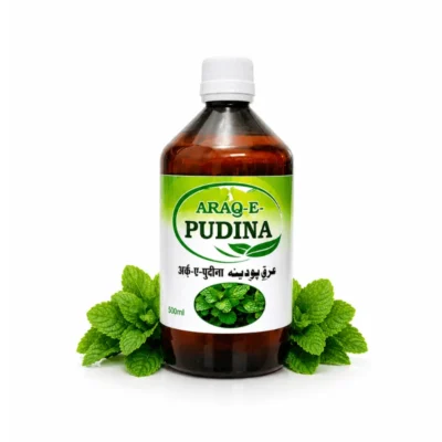 JRH Arq-e-Pudina: Natural Digestive Aid & Stomach Relief